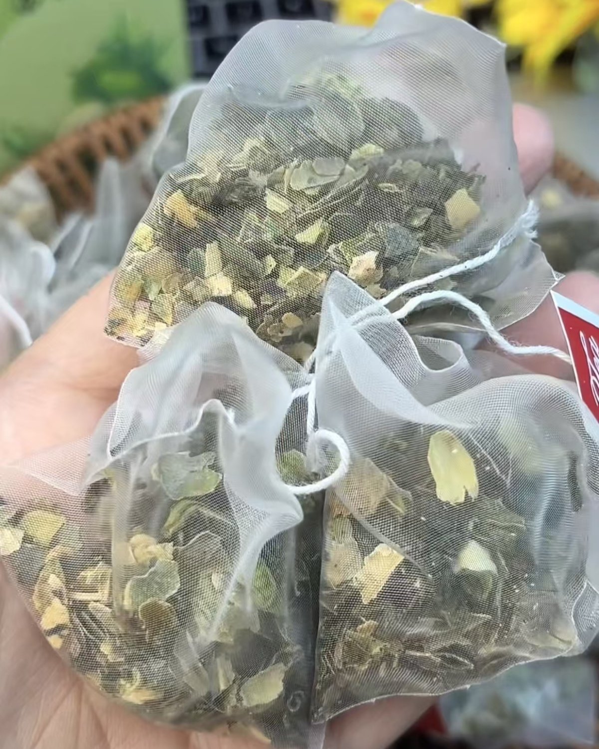 Oil tea - Image 3